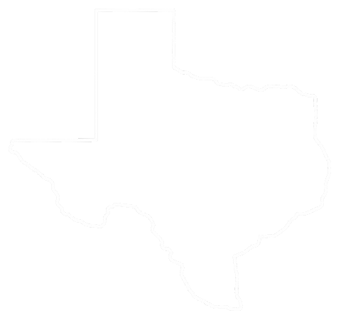 Lone Star State Texas Sticker