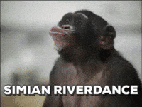 creativeoil GIF by Net Directives