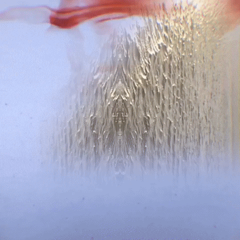 Art Loop GIF by John Fogarty