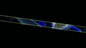 Persona 4 GIF