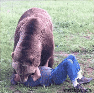 grizzly bear hug GIF