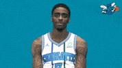 happy fresh prince GIF by Charlotte Hornets