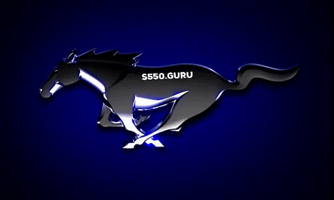 labemi mustang labemi s550guru runningpony GIF