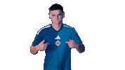 Crystal Palace Shrug Sticker by Northern Ireland