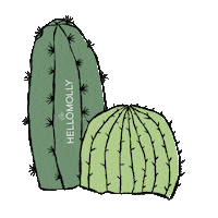 Festival Cactus Sticker by hellomolly