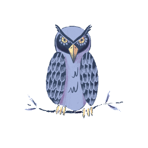 toriforsterart illustration owl birds swan lake Sticker