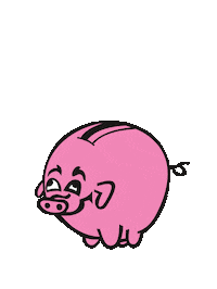 Bonus Save Sticker by Bónus Iceland