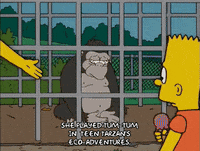 homer simpson GIF