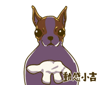 Animation Dog GIF