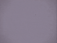 Animation Cinema GIF by Cinemathequeqc