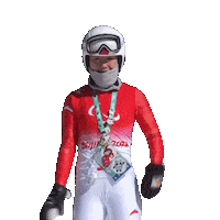 Paralympic Games Sticker by International Paralympic Committee