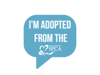 Adopted Sticker by Sacramento SPCA
