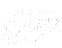 Foster Sticker by Sacramento SPCA