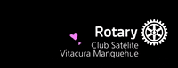 RCSVM  GIF