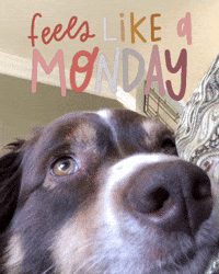 Tired Waking Up GIF
