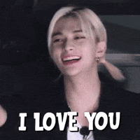I Love You Stray Kids GIF