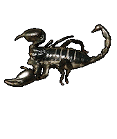bug scorpion Sticker by mtvfearfactor