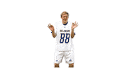 College Sports Ncaa Sticker by Delaware Blue Hens
