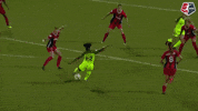 dive save GIF by Washington Spirit