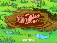 heyarnold nicksplat hey arnold GIF