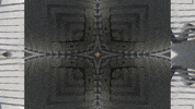 Art Video GIF by jorgemariozuleta
