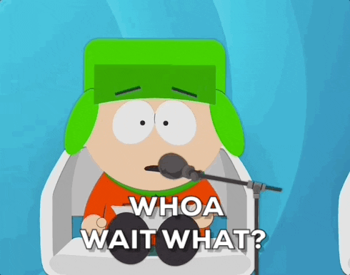 Wait What Kyle GIF by South Park
