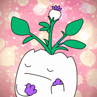 Well Done Good Job GIF by Magic Eden