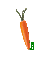 Carrot Karotte Sticker by ErziPlay