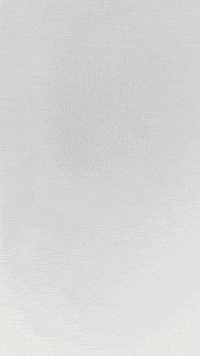 Dragon GIF by Youtooz