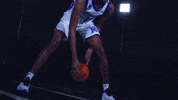 MemphisAthletics memphis tigers memphis basketball GIF