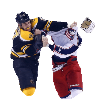hockey nhl STICKER by imoji