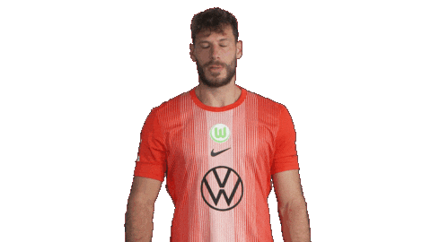 Germany Hello Sticker by VfL Wolfsburg