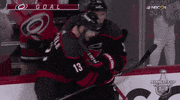 happy ice hockey GIF by NHL