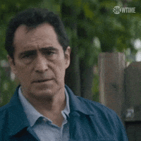 Season 1 GIF by SHOWTIME