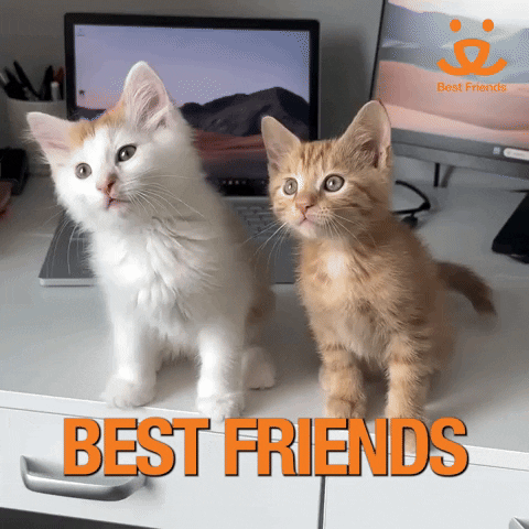Best Friends GIF by Best Friends Animal Society