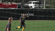 north dakota state bison GIF by NDSU Athletics