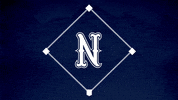 Baseball Softball GIF by Nevada Wolf Pack