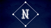 Baseball Softball GIF by Nevada Wolf Pack