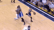 assist golden state warriors GIF
