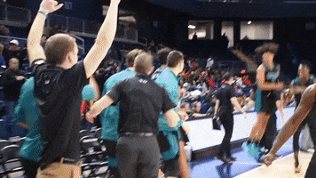 Dodd Yes GIF by UNCW Men's Basketball