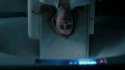 alan ruck father tomas GIF by The Exorcist FOX