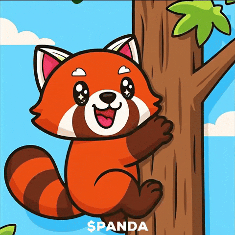Happy Red Panda GIF by PandaMania