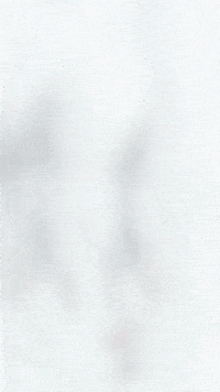 Laika GIF by Youtooz