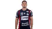 Handball-Bundesliga Handball Sticker by LIQUI MOLY HBL