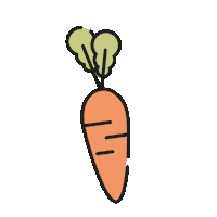 Carrot Karotte Sticker by Fundis Reitsport
