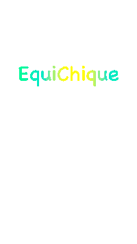 Equestrian Sticker by Talitha Ombach