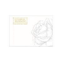 Eternalblossomroses paper card roses foreverroses Sticker
