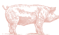 Bauernhof Schweinchen Sticker by Landhaus Averbeck