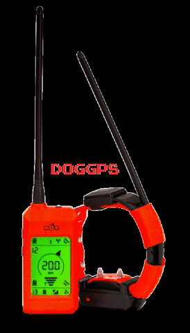 doggps giphygifmaker collar dogcollar doggps GIF