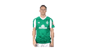 Niklas Moisander Bundesliga Sticker by SV Werder Bremen